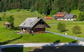 Brunarica Bled Zatrnik Pokljuka